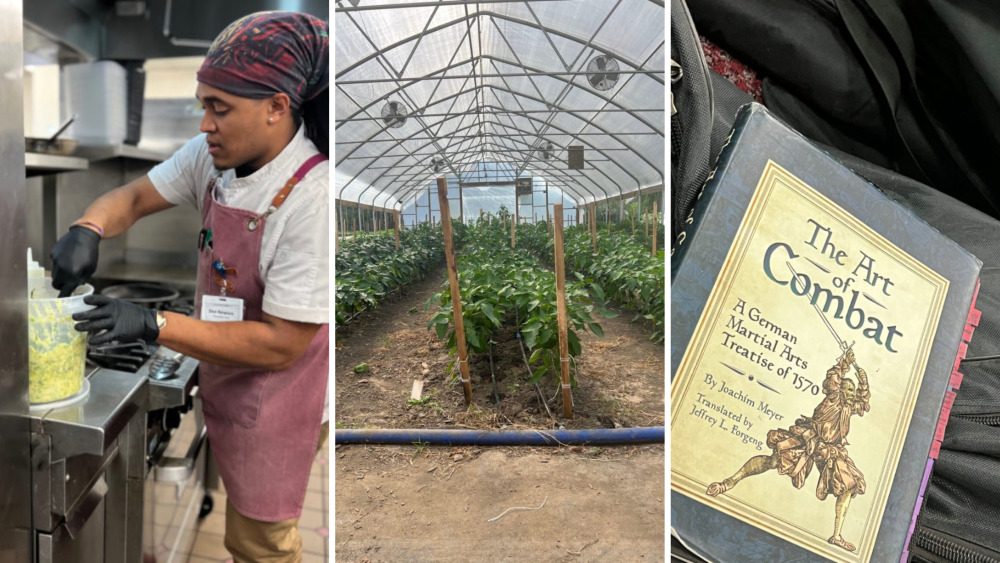 Three side by side images: A Black man in an apron, stirring something on a stove. A row of plants in a greenhouse. A book title The Art of Combat.