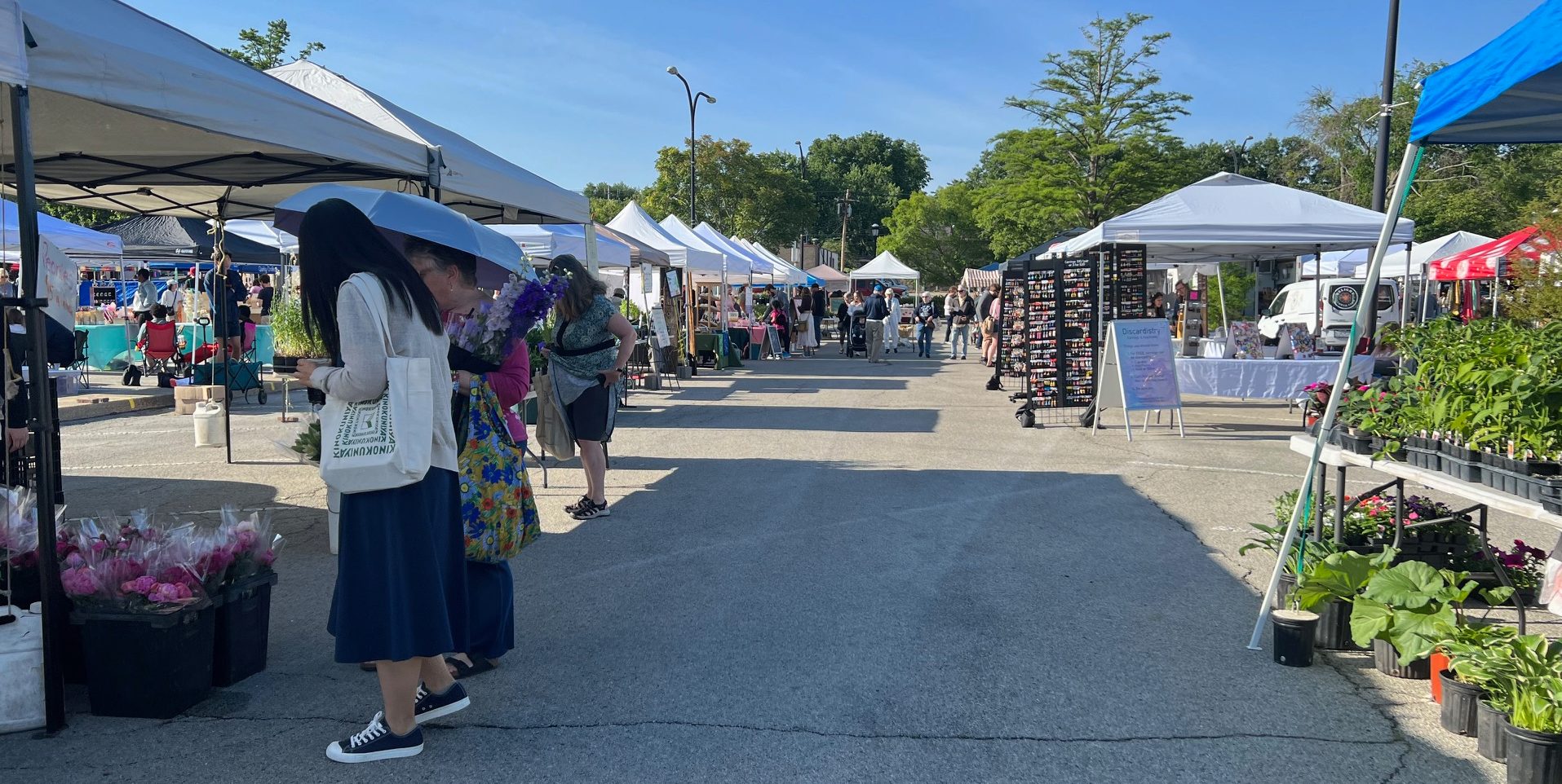 The Urbana market has several shoppers looking at flowers, food, and art for sale in the parking lot on a sunny blue skied day.