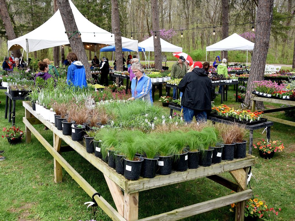 giant wooden picnic tables are full of plants and flowers for sale. people walk next to the tables looking at the plants. In the background is a forested area and three white tents. 