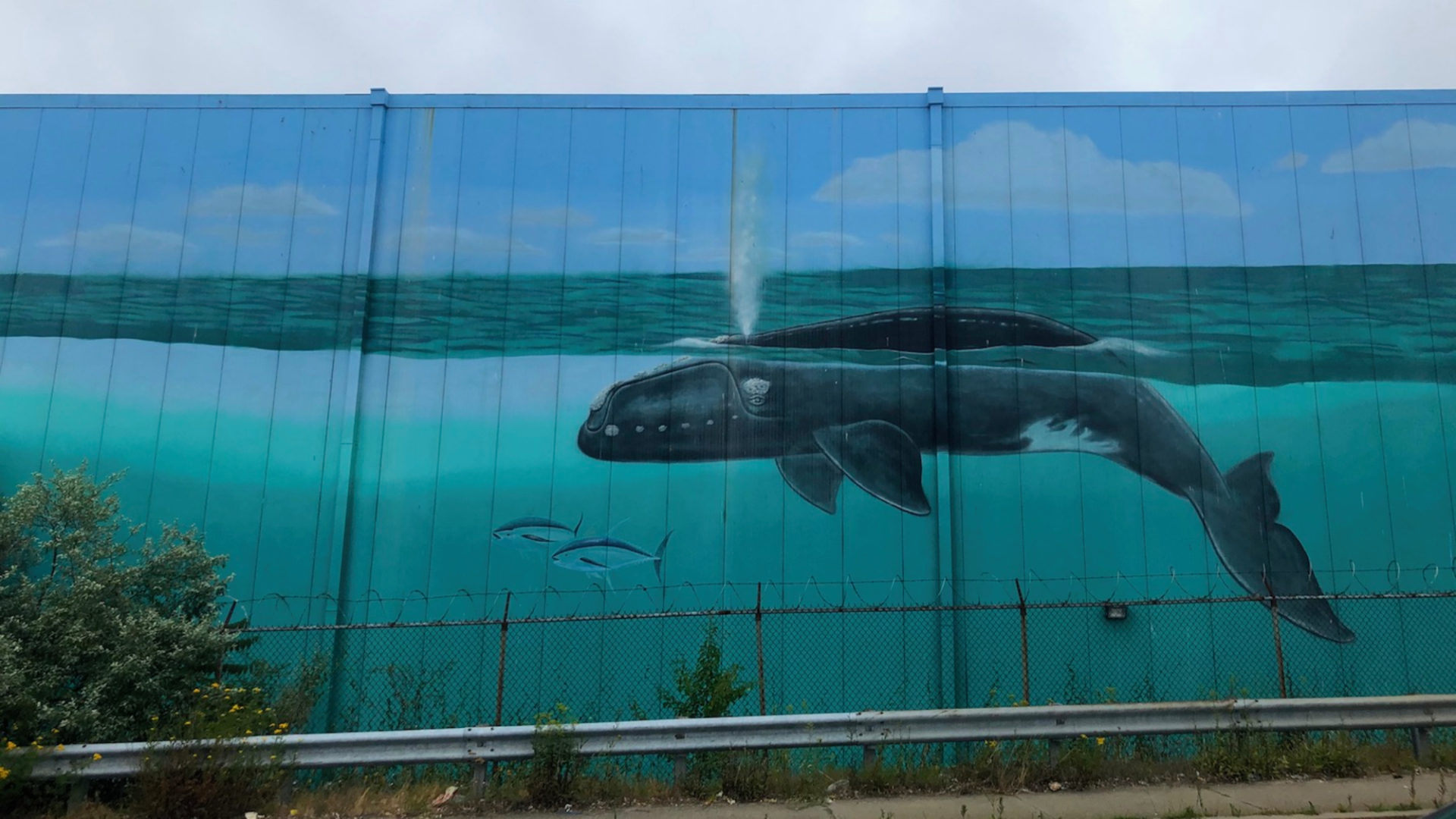 Mural of a whale and two baby whales in light and dark blues on the side of a building.